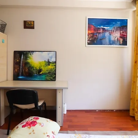 Apartamento 200mbs Internet..work Online And Enjoy . Esmirna
